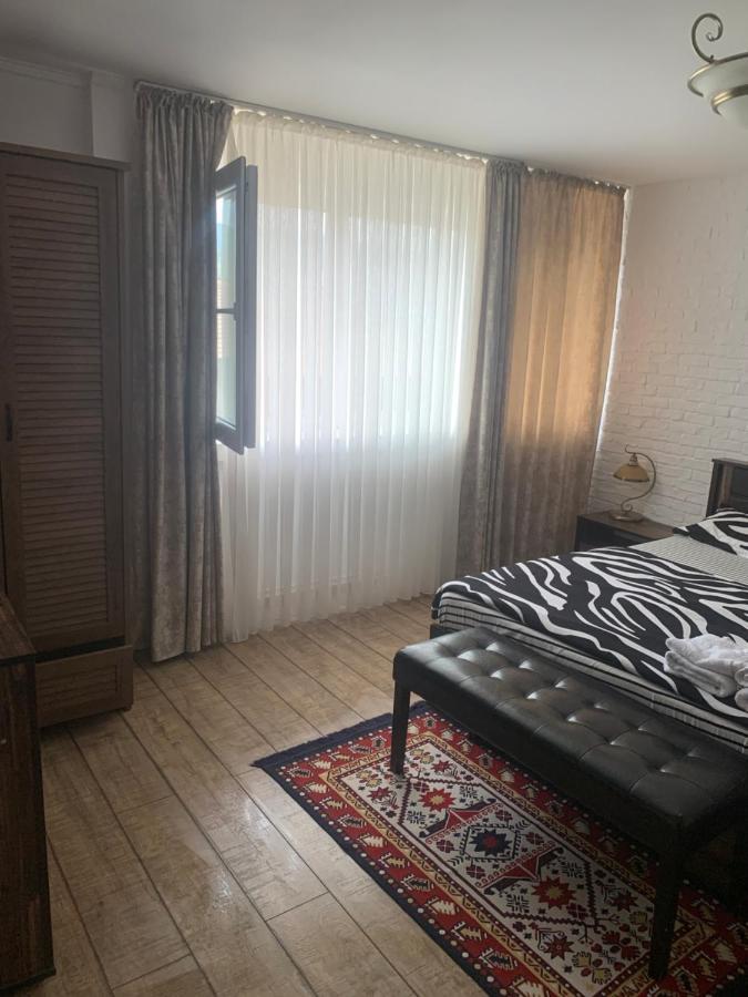 Garsoniera 1 Decembrie Appartement Alba Iulia Buitenkant foto